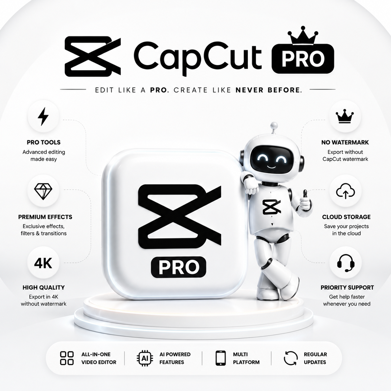 CapCut Pro Support